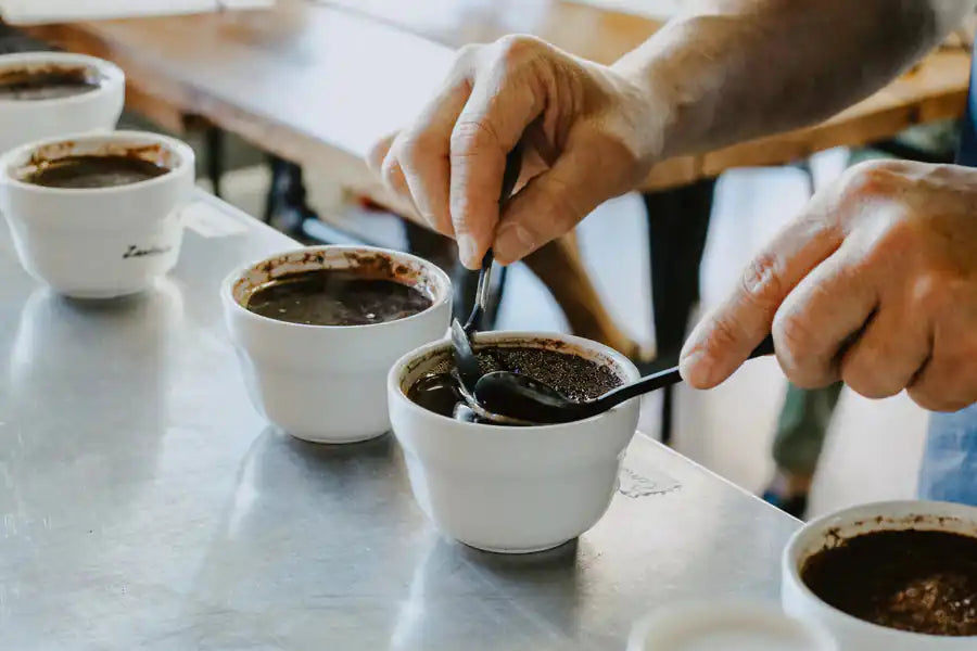"Coffee Experience" gift card