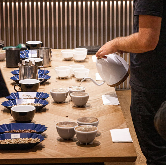 Corso in Assaggio e CUPPING del Caffè Livello base ( 4 ore )